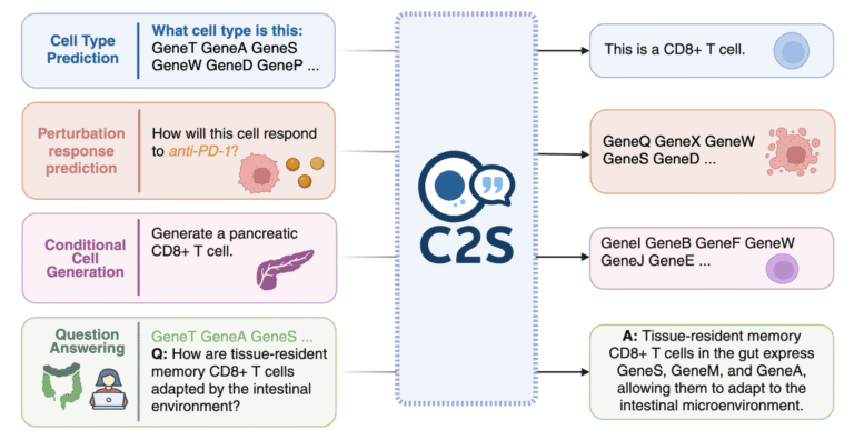 Google AI Releases C2S-Scale 27B Model that Translate Complex Single-Cell Gene Expression Data into ‘cell sentences’ that LLMs can Understand